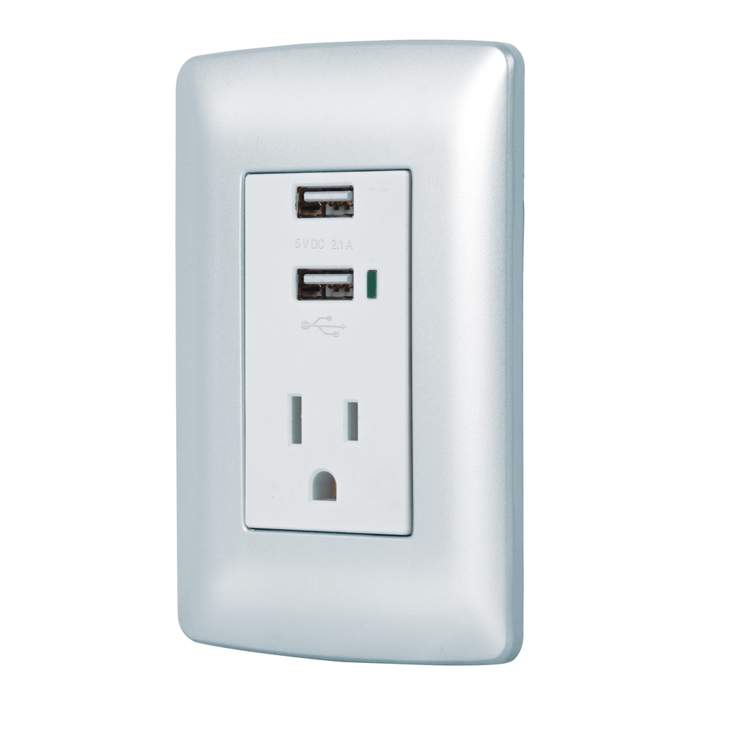 Contacto aterrizado + 2 puertos USB, plata, linea Italiana