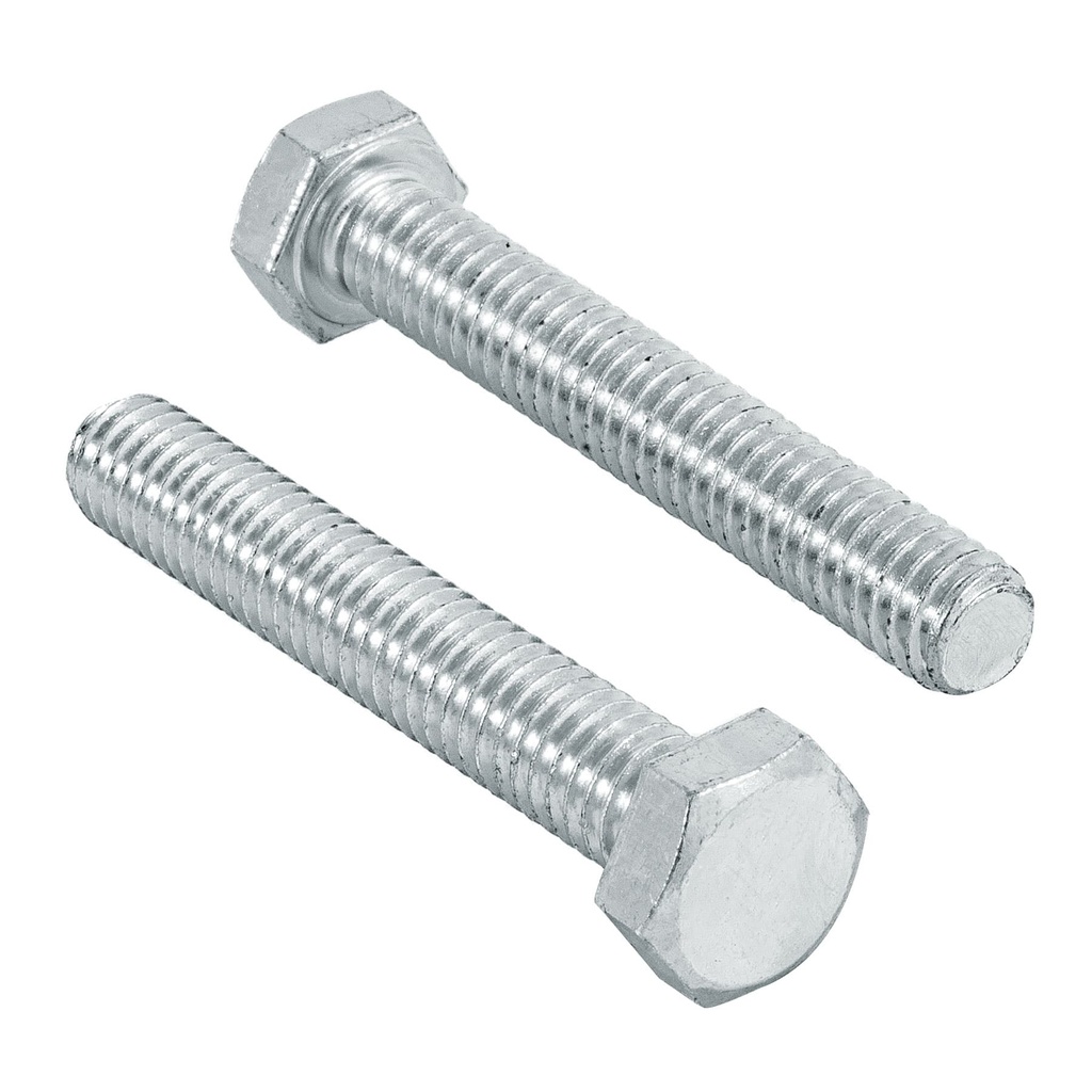 Bolsa con 80 tornillos 5/16' x 2' tipo maquina, Fiero