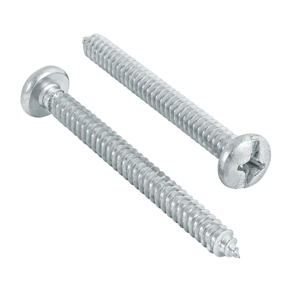 Bolsa con 100 pijas para lamina, #14 x 2-1/2', Fiero