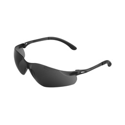 [TC1802] LENTE NEO HUMO