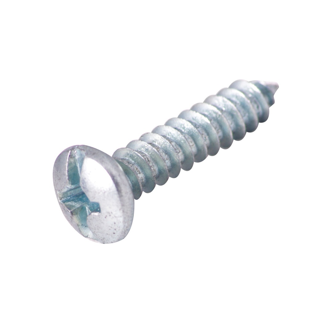 PIJA PARA LAMINA #10 x 2" (Precio x Caja a Granel c/3000piezas)