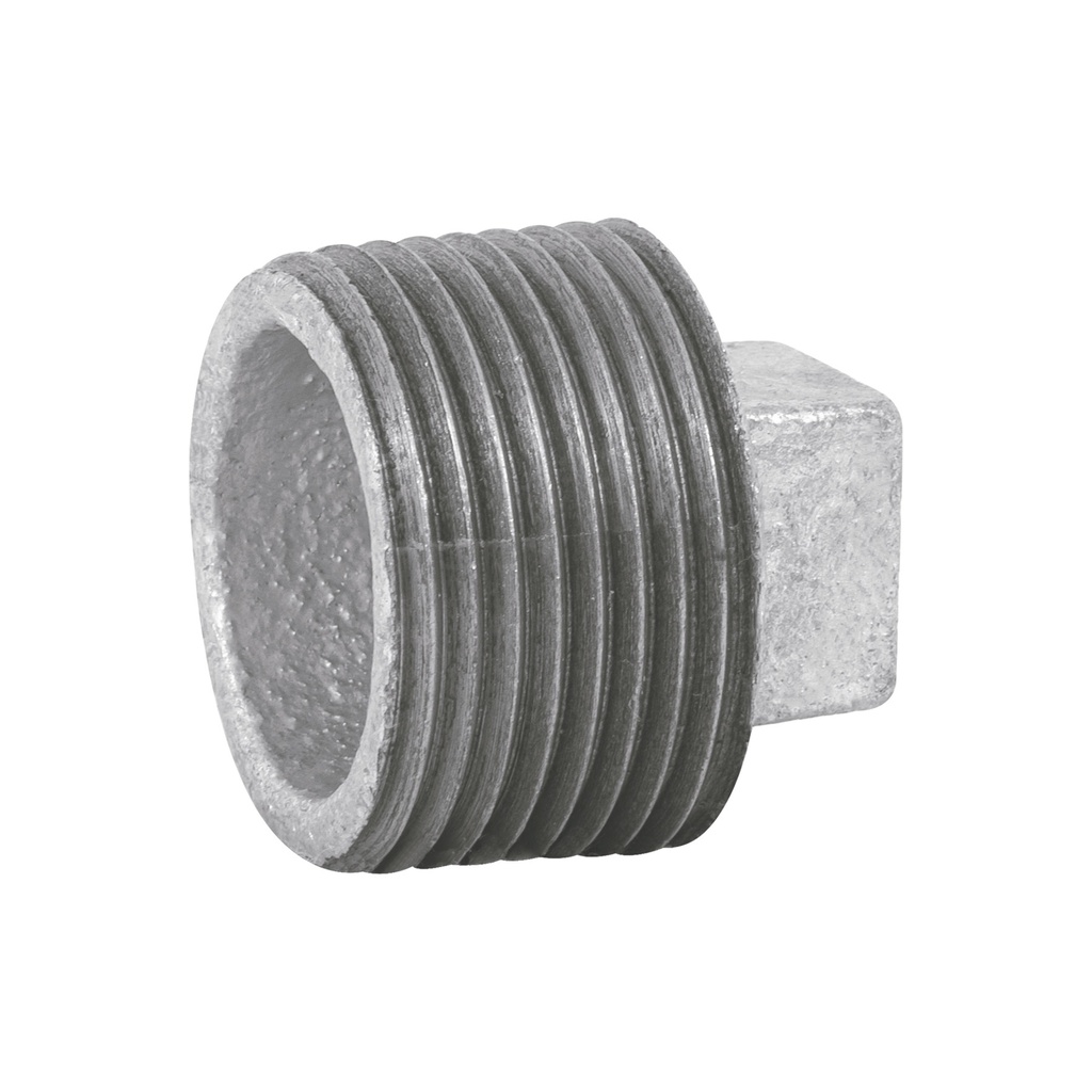 Tapon macho 1' de acero galvanizado, Foset