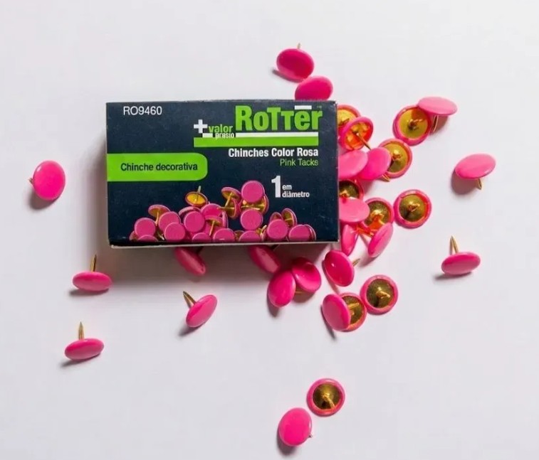 CHINCHE PLASTIFICADA COLOR
