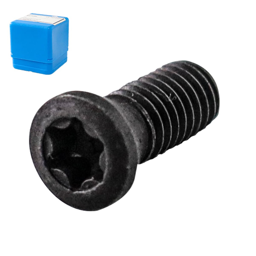 TORNILLO P/INSERTO M4.5X12