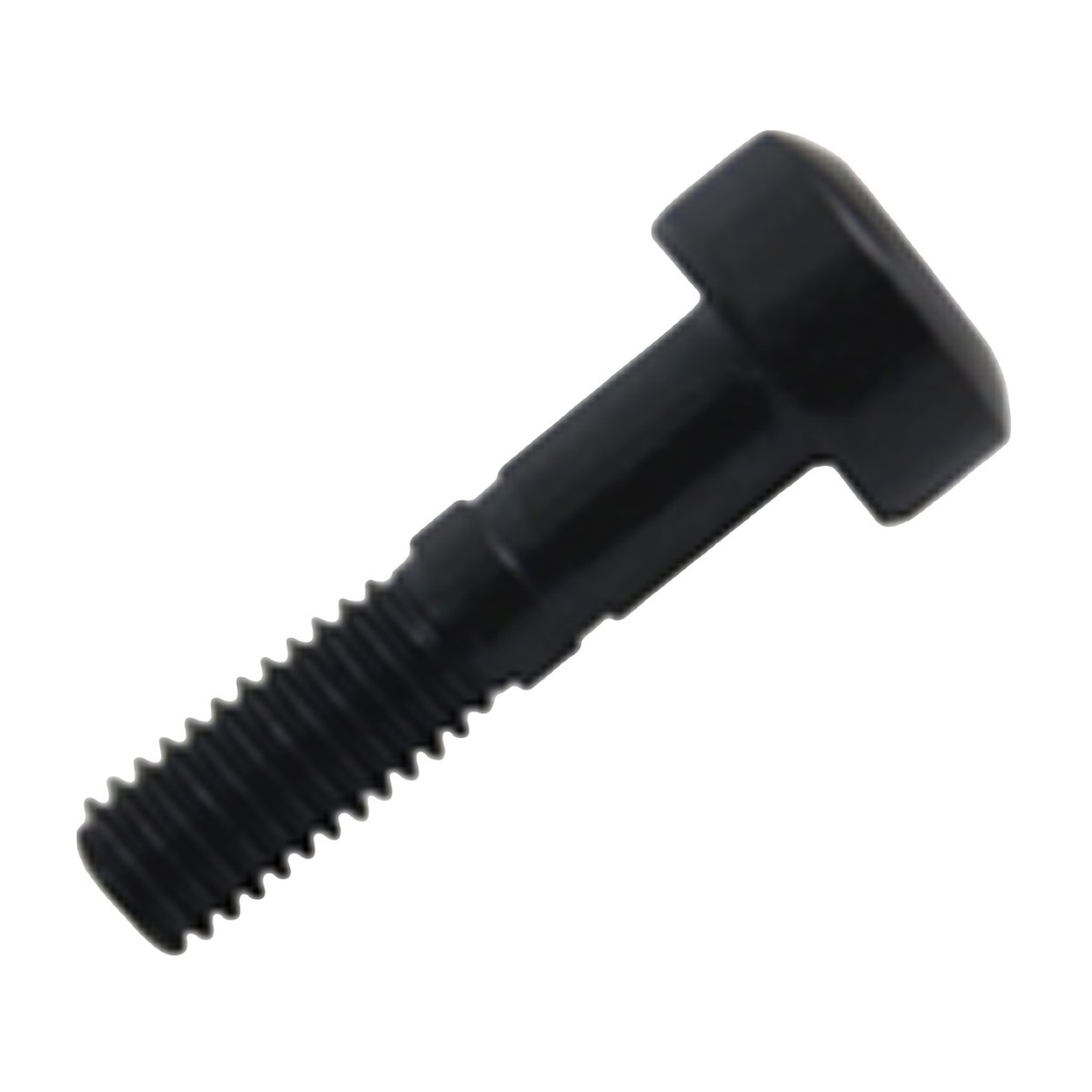 TORNILLO P/PORTAHERRAMIENTA DLS5