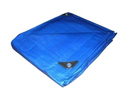 [WF0752] LONA AZUL 6 X 12M