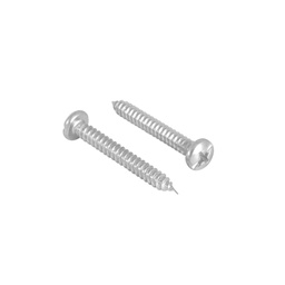 [TC2884] PIJA PARA METAL CABEZA REDONDA8 X 1/2 100 PZS