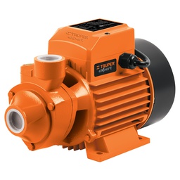 [10069] Bomba periferica 3/4 HP, altura maxima 65 m, Truper Expert
