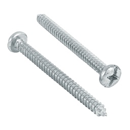 [48731] Bolsa con 100 pijas para lamina, #12 x 2-1/2', Fiero