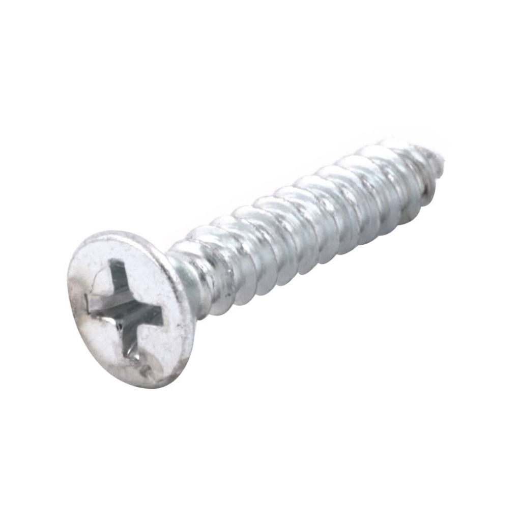 PIJA CABEZA PLANA PHILLIPS GALVANIZADA PUNTA TIPO AB#8 x 3" (Precio x Caja a Granel c/2000piezas)