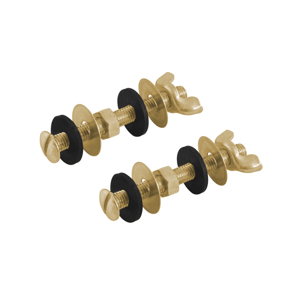 TORNILLOS DE BRONCE PARA WC