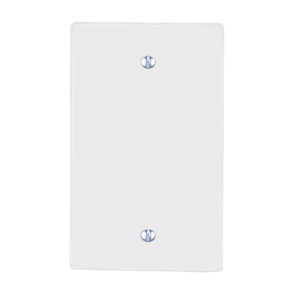 PLACA DE PLASTICO BLANCA LISA