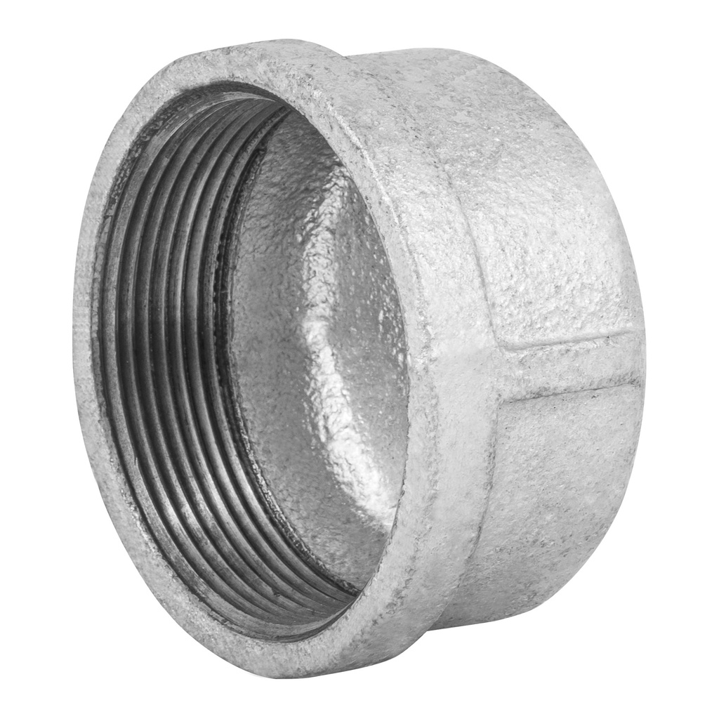 Tapon hembra 2' de acero galvanizado, Foset