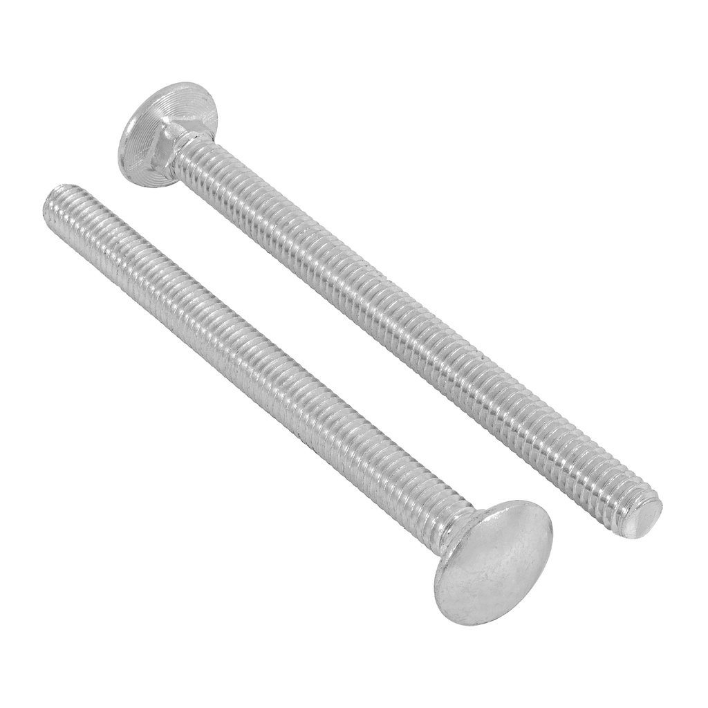 Bolsa con 50 tornillos 5/16' x 4' tipo coche, Fiero