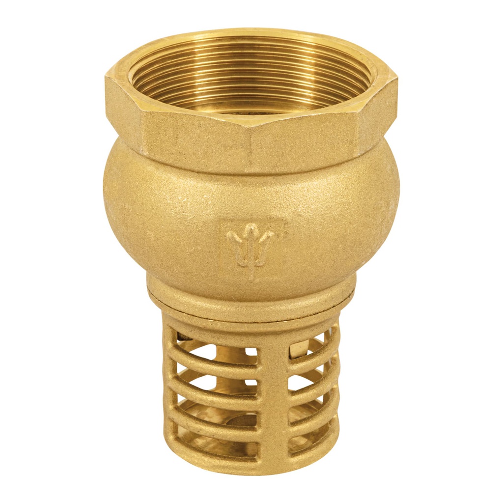 Pichancha con rejilla de laton 2', Foset