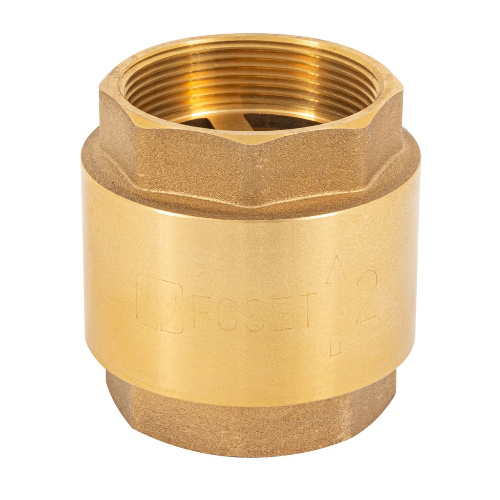 Valvula de retencion de laton 2', Foset
