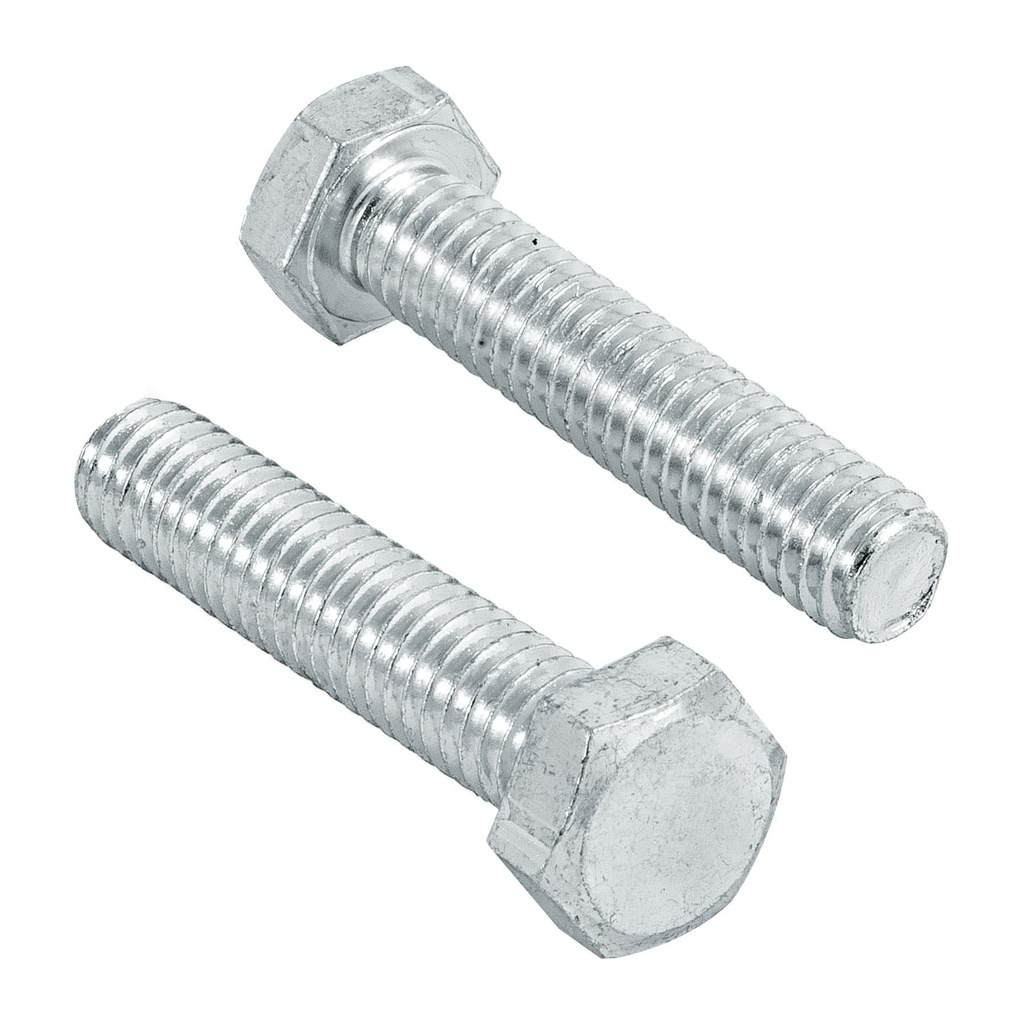 Bolsa con 50 tornillos 5/16' x 1-1/2' tipo maquina, Fiero