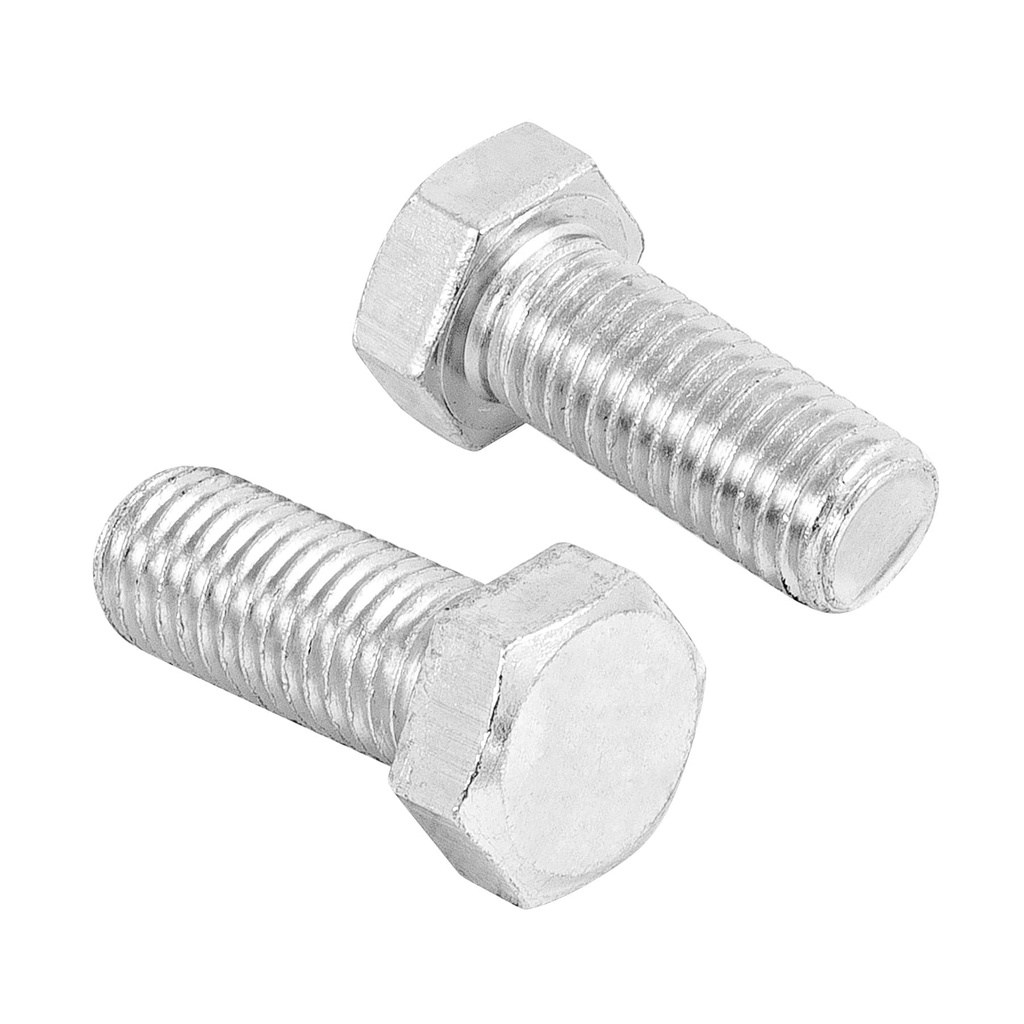 Bolsa con 10 tornillos 5/8' x 1-1/2' tipo maquina, Fiero