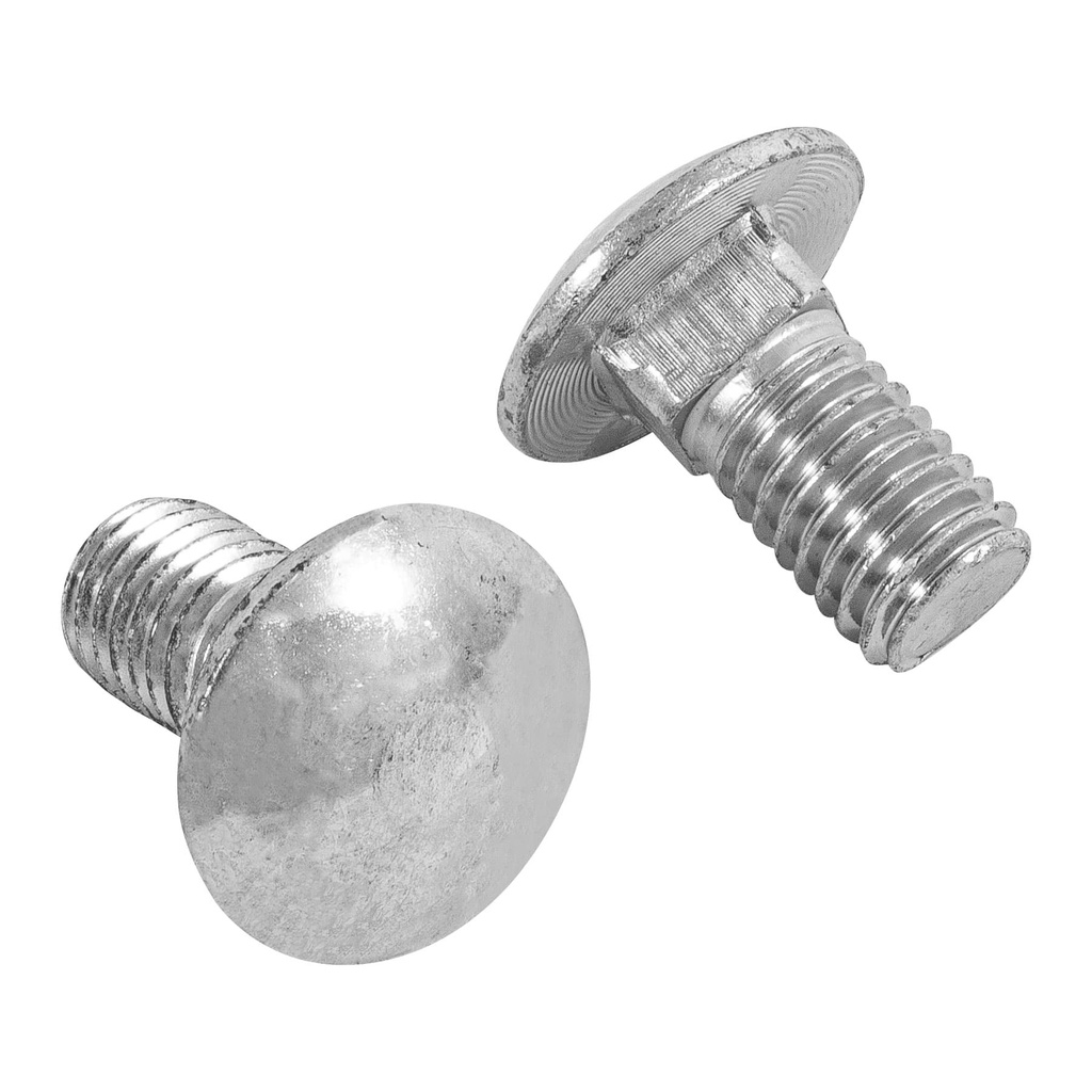 Bolsa con 40 tornillos 1/2' x 1' tipo coche, Fiero