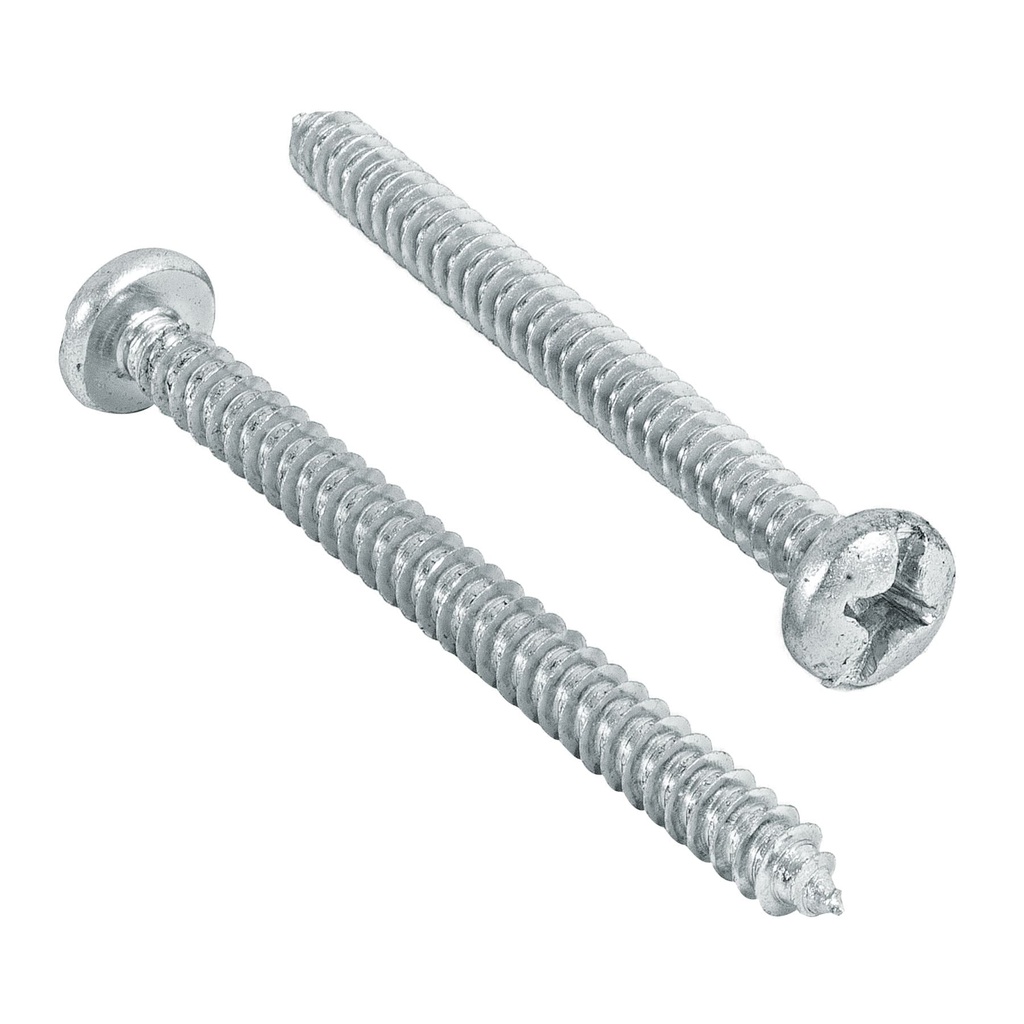 Bolsa con 100 pijas para lamina, #12 x 2-1/2', Fiero