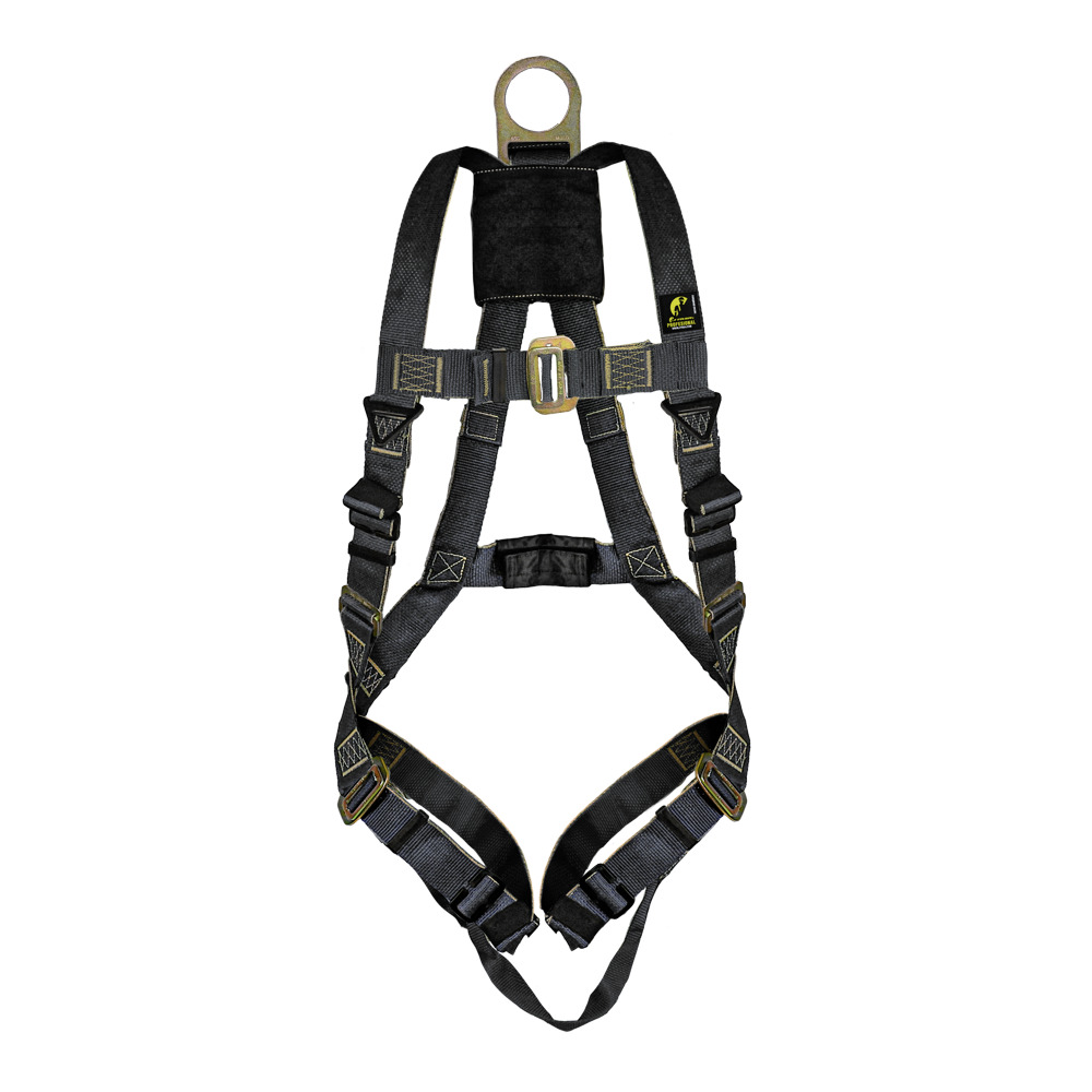 ARNES CON ANILLO D EN ESPALDA.