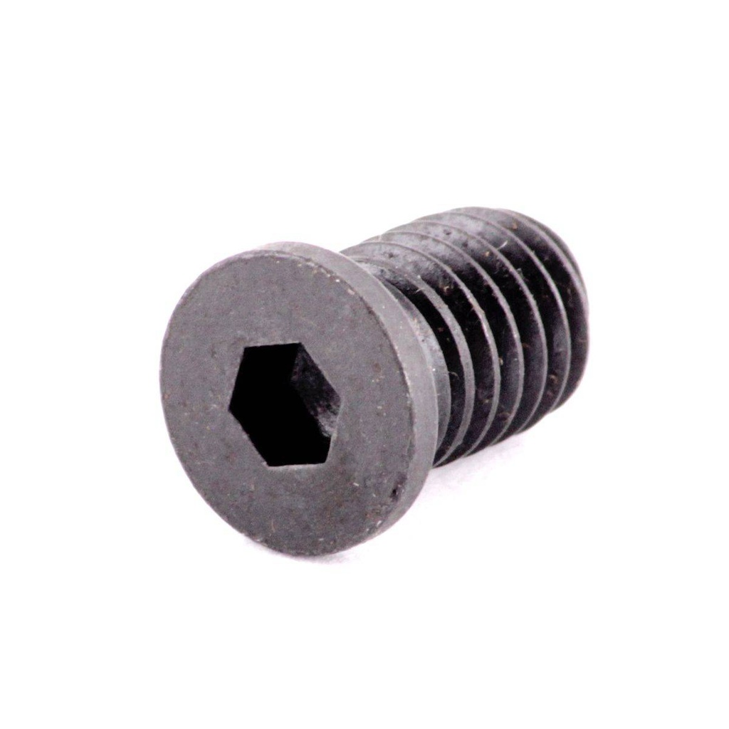 TORNILLO P/PORTAINSERTO DWLN M6X10