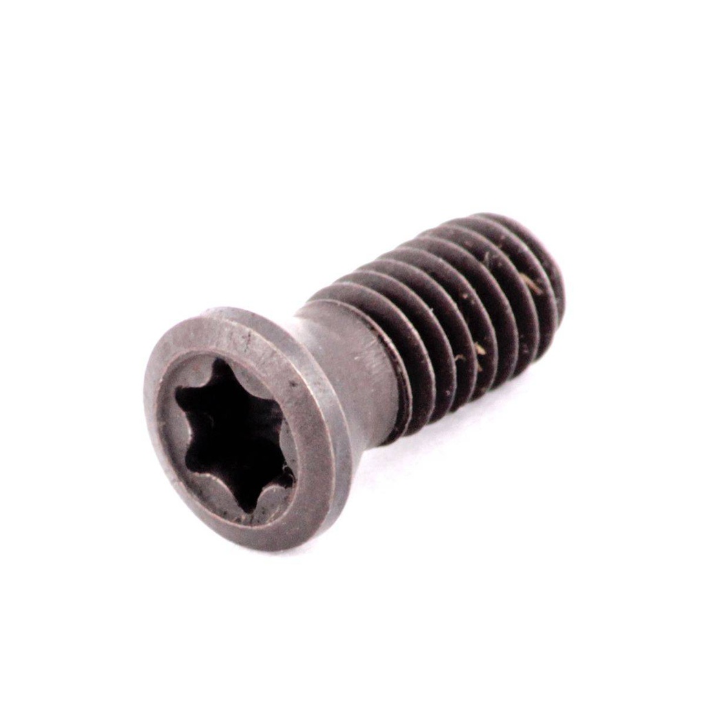 TORNILLO M4X10 P/PORTA INSERTO CCMT09T3 /CCMT09T0308