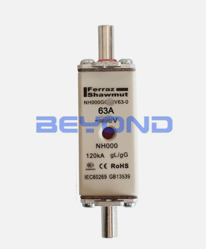 FERRAZ SHAWMUT 63A 690V 2PZ NH000GG69V63
