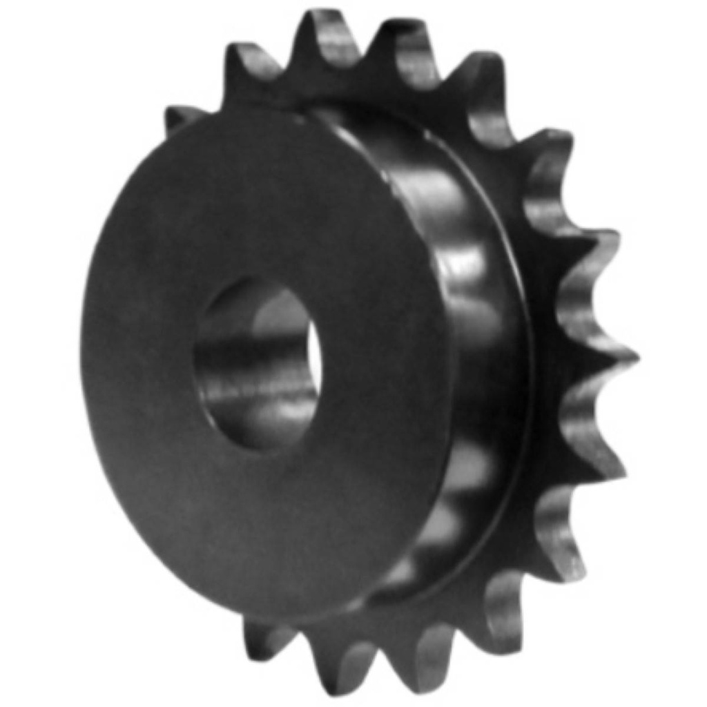 CATARINA 50B31 X 1-1/4&quot;