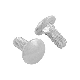 [44719] Bolsa con 80 tornillos 5/16' x 3/4' tipo coche, Fiero