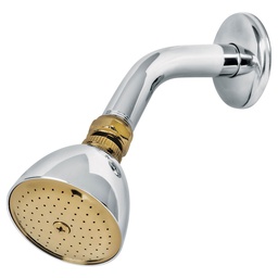 [49147] Regadera conica 2-1/2' cromo-oro brazo y chapeton acero