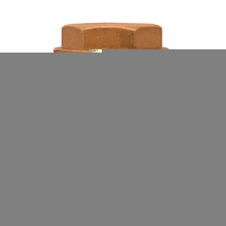 [79H 51] 51MM.VALVULA CHECK HORIZONTAL ROSCAR