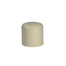 [C12 19] TAPON CPVC 19MM
